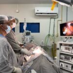 1 divulgação ses to