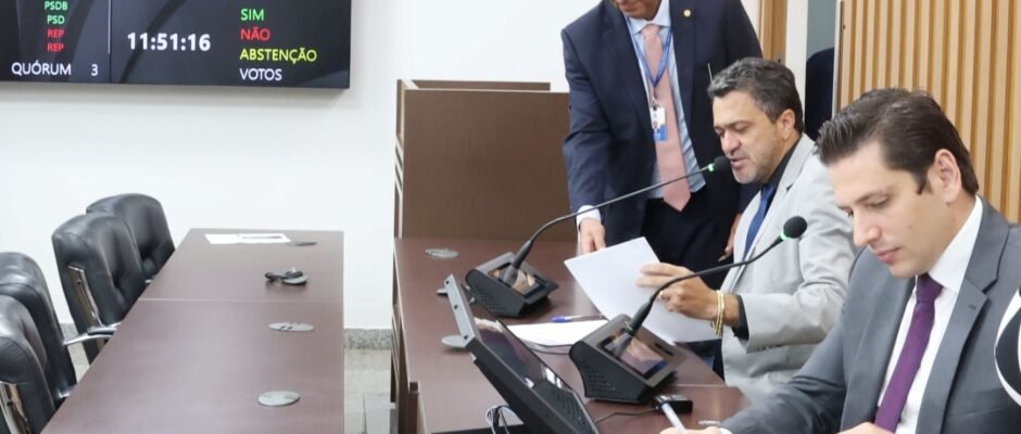 Comissão de finanças foto isis oliveira