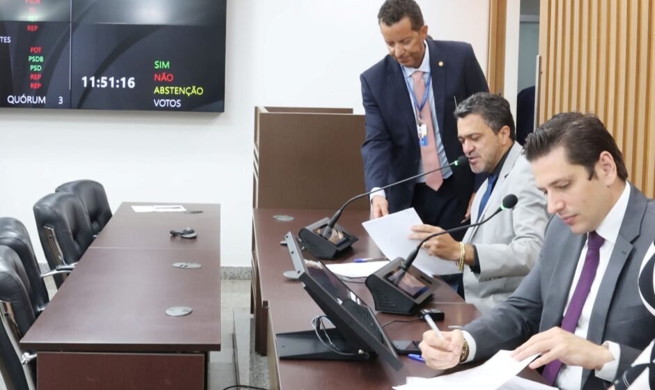 Comissão de finanças foto isis oliveira