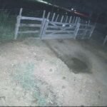 Img 20250310 wa4117.jpg