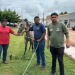 Imagem do whatsapp de 2025 03 17 as 11.31.21 3b87da9c 850x560