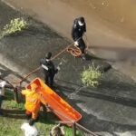 Imagem do whatsapp de 2025 03 31 à(s) 16.47.05 fd3c303c