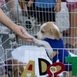 Fb14b6ace8eedcbcf4bd5b4436823a38