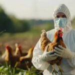 Imagem do whatsapp de 2025 05 19 à(s) 11.42.48 4b3538aa