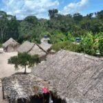 Captura de tela 2025 05 25 150242.jpeg