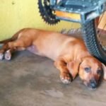 Image editor output image 206666453 1748085970691.jpg