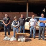 Polícia civil incinera mais de 7 kg de entorpecentes apreendidos durante ações no interior do tocantins