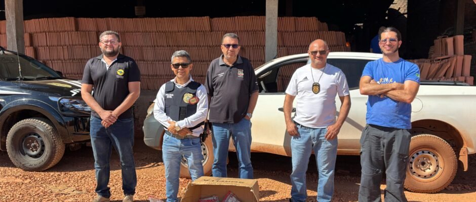 Polícia civil incinera mais de 7 kg de entorpecentes apreendidos durante ações no interior do tocantins