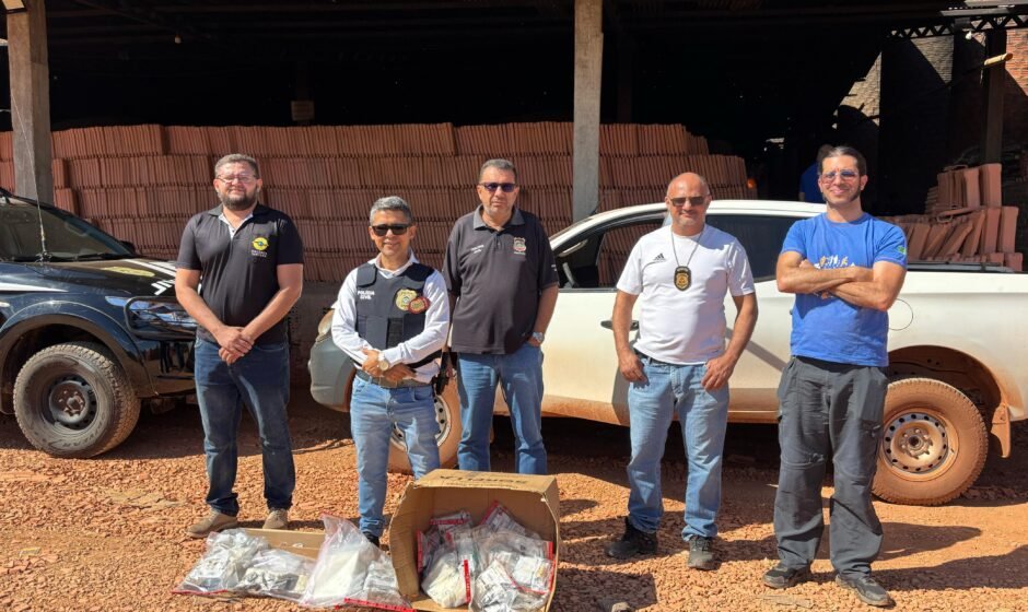 Polícia civil incinera mais de 7 kg de entorpecentes apreendidos durante ações no interior do tocantins
