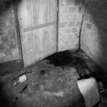 Mulher foi morta com extrema violencia na zona rural de nova olinda autor esta foragido.jpeg