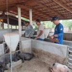 Adapec governo do tocantins (5)