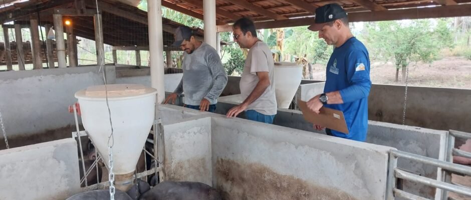 Adapec governo do tocantins (5)