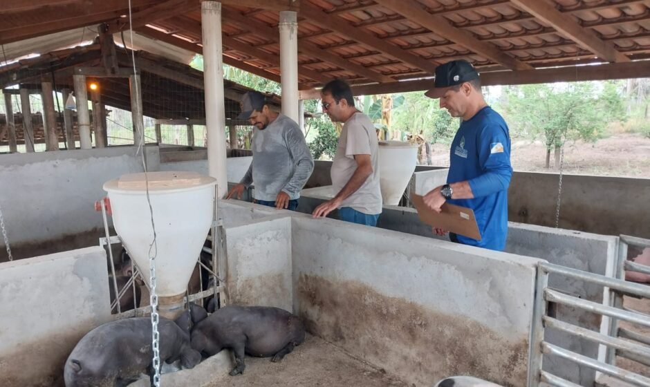 Adapec governo do tocantins (5)