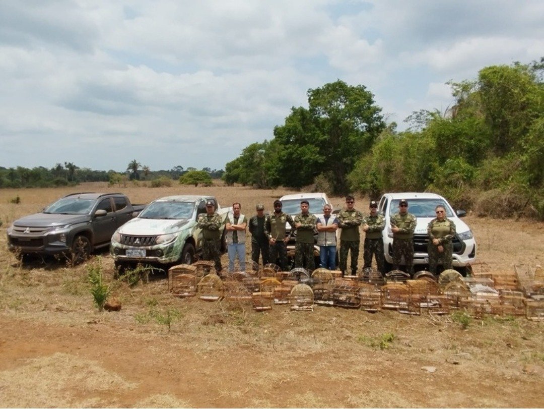 Equipes de fiscalização do Naturatins realiza operação Pássaro Livre na região do Bico do Papagaio