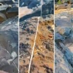 Imagem do whatsapp de 2025 11 07 à(s) 16.18.08 860e3916