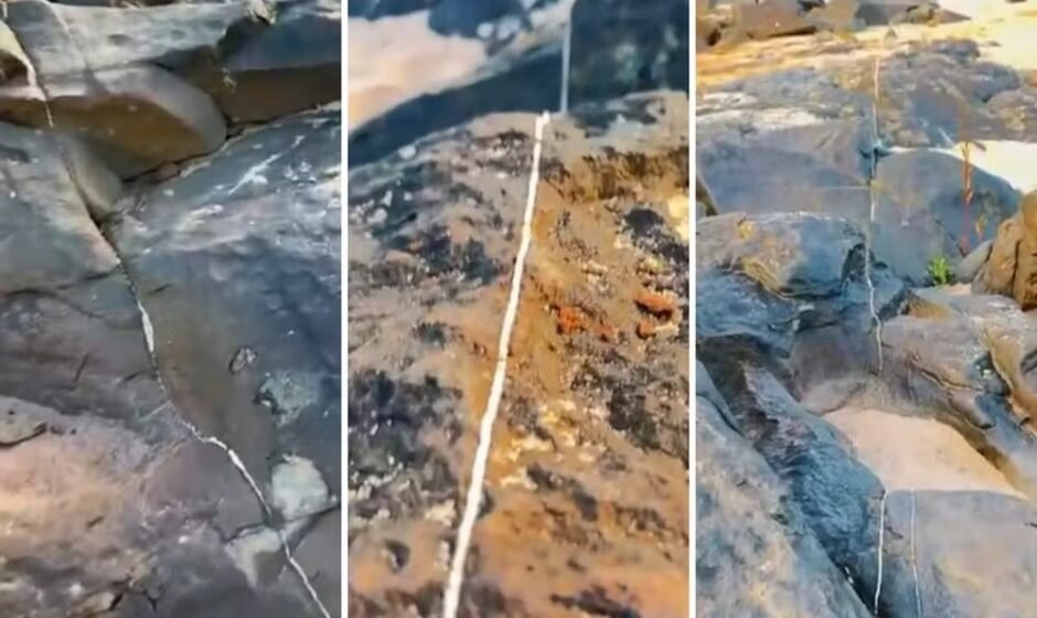 Imagem do whatsapp de 2025 11 07 à(s) 16.18.08 860e3916