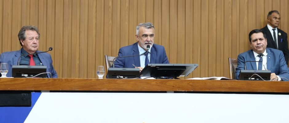 Sessão plenária foto aline batista (2)