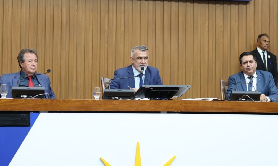 Sessão plenária foto aline batista (2)