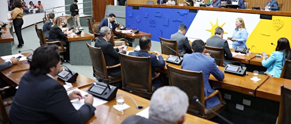 Sessão plenária foto aline batista