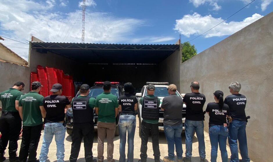 Whatsapp image 2025 11 07 at 15.00.59