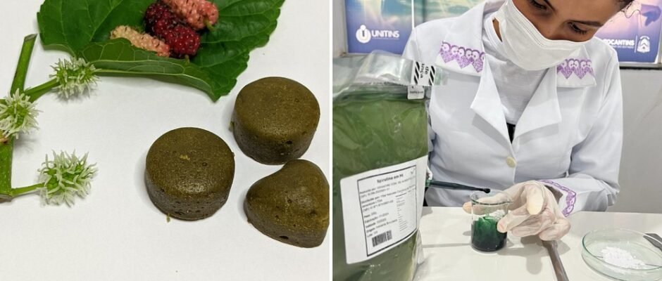 Foto e montagem vertical 26 .jpeg