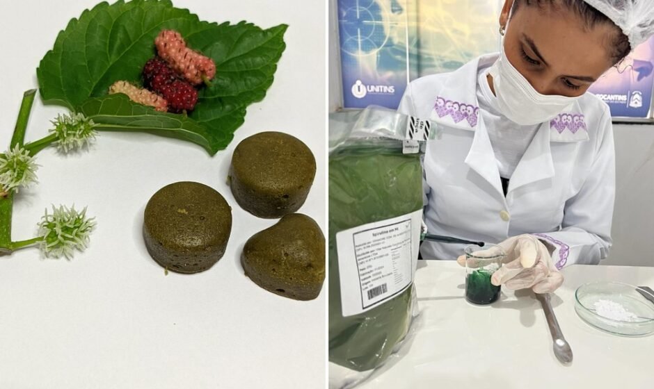 Foto e montagem vertical 26 .jpeg