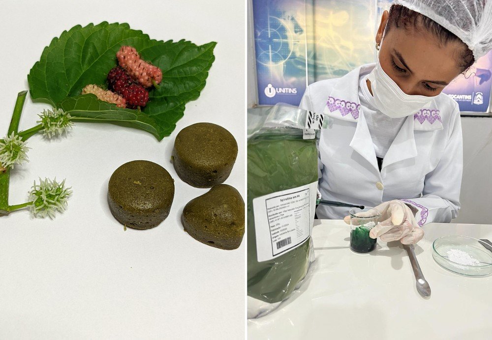 Estudante do IFTO desenvolve goma de mascar experimental à base de amora para aliviar os efeitos na menopausa