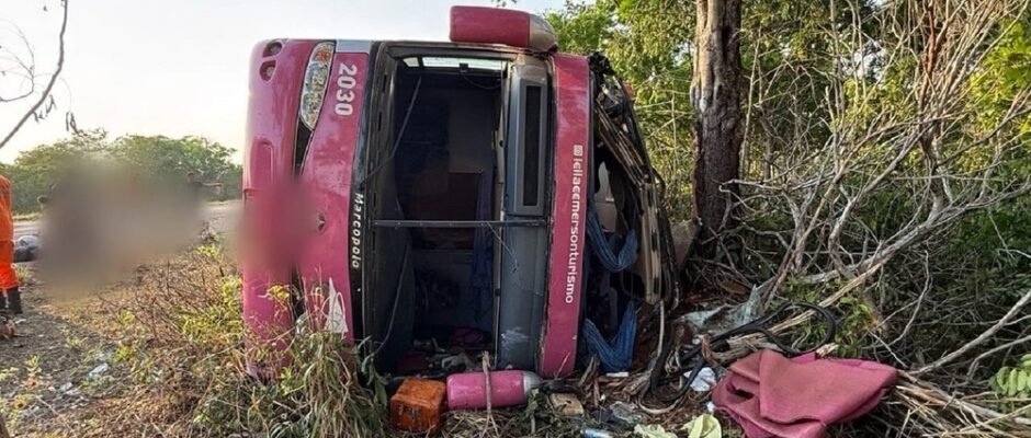 Whatsapp image 2025 11 08 at 10.26.18.jpeg