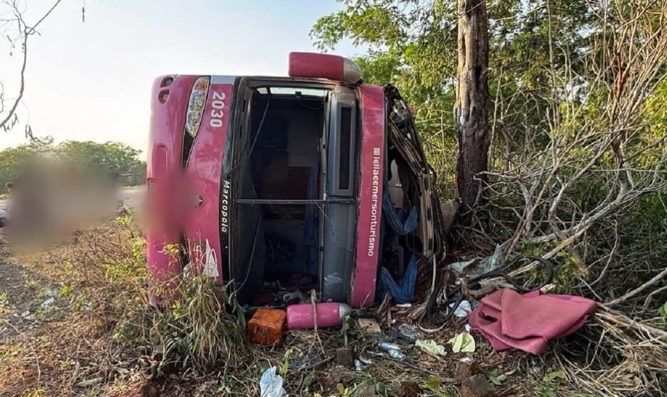 Whatsapp image 2025 11 08 at 10.26.18.jpeg