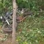 Image editor output image 126311703 1767302205313.jpg